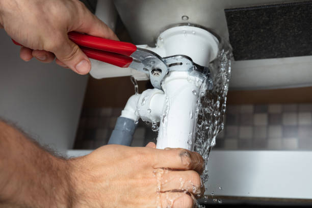 Best Flooded house restoration  in Taylorvle, IL