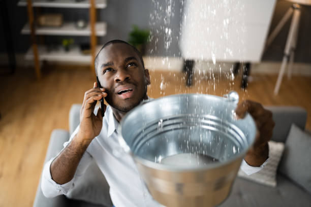 Best Emergency water extraction  in Taylorvle, IL