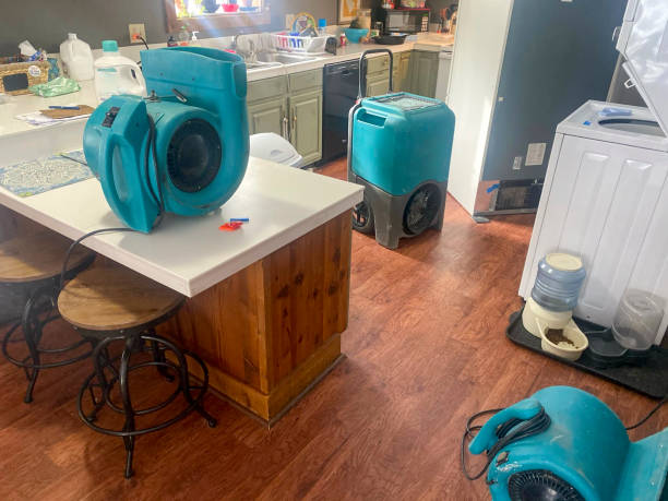 Best Water damage restoration near me  in Taylorvle, IL