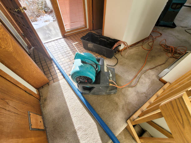 Best Water damage contractors near me  in Taylorvle, IL