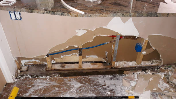 Best Carpet water damage restoration  in Taylorvle, IL